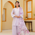 Nude Pink Embroidered Farshi Shalwar Suit (Stitched)